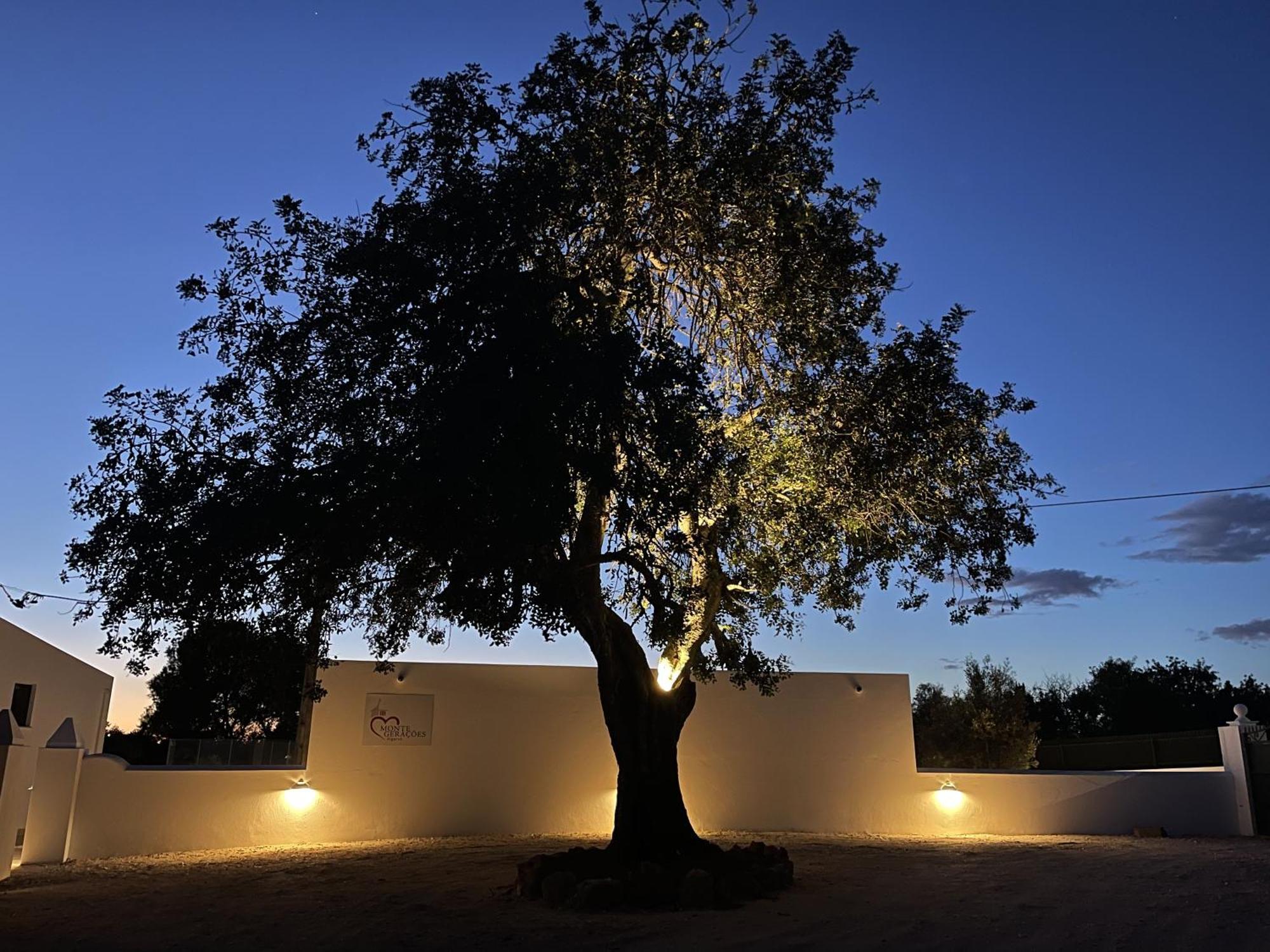 Monte Geracoes - Heated Pool - Typical Algarvian - Close To Quinta Lago, Vale Lobo And Vilamoura المانسيل المظهر الخارجي الصورة
